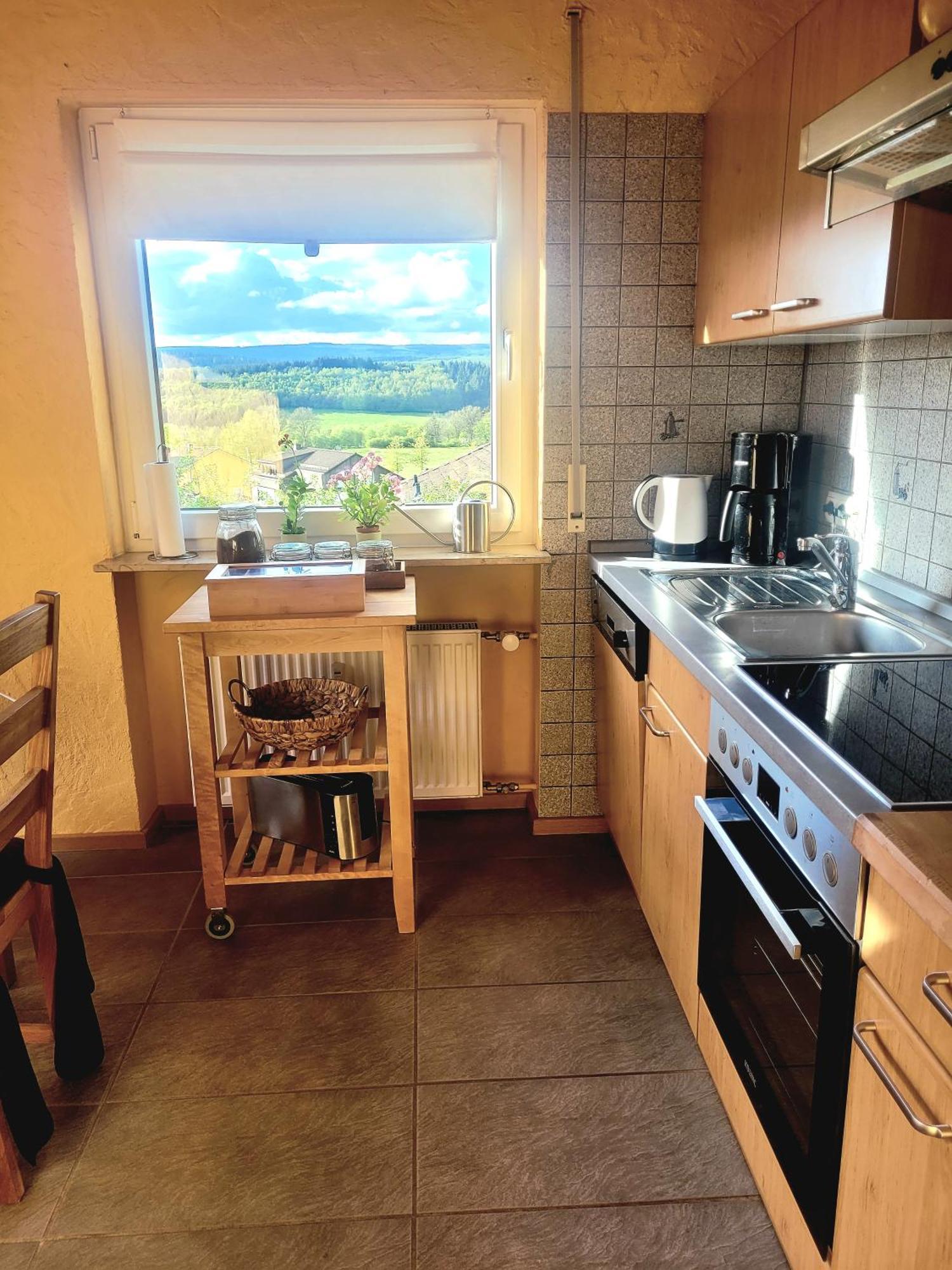 Ferienhaus Wilder Hunsrueck Schmissberg المظهر الخارجي الصورة